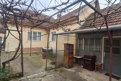 Bocsa Vasiova, Casa cocheta pentru familie, cu Gradina. - 21