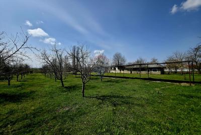 Spațiu industrial de 400mp de vânzare - 7