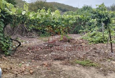 Casa spatioasa | 1500 mp teren - Ticvaniu Mare CS - 10