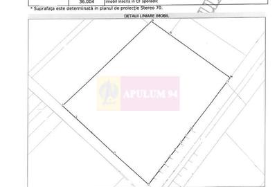 Vanzare teren intravilan agricol in zona Mihailesti, Giurgiu - 7