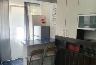 Garsonieră semidecomandată, mobilată în Costin Georgian