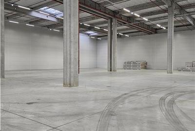 Spatiu Industrial - 6800 mp - Logistica - Productie - Depozitare - Distributie - 18