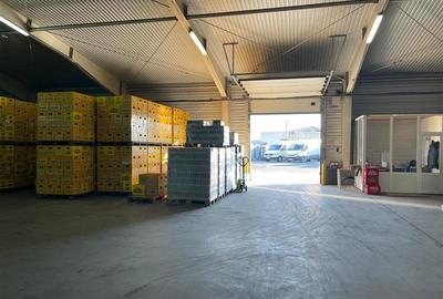 Centru logistic de inchiriat in Tulcea - 31