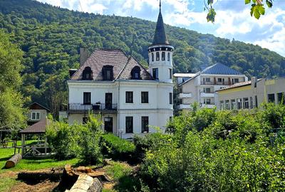 De vanzare - Teren intravilan 3614mp situat pe Bd. Carol I 25 - 1