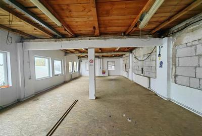 Hala de 300 mp - central - in zona Parneava - 10