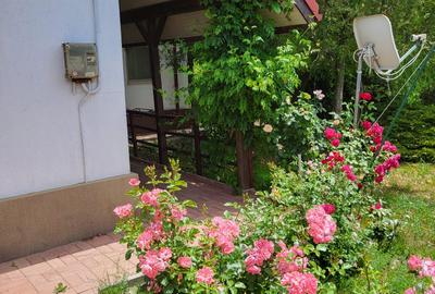 Casă P+M 248 mp | 6 Camere,Teren 1250 mp | Sistem Fotovoltaic + Eolian Prunaru - 6