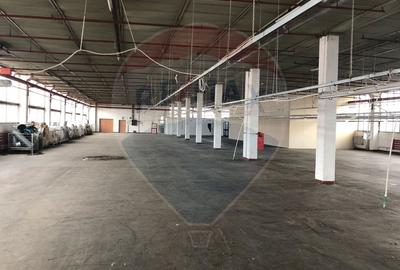 Hala 400 m productie - depozitare  – Lift 3t, Acces TIR, zona Aeroport - 3