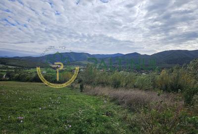 Teren de vanzare ,Tocile, Sibiu, case de vacanta si locuinte - 11