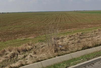 📍 Teren intravilan de vânzare/pret negociabil – Adunații Copăceni, Giurgiu - 3