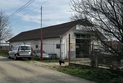 Hala de vanzare 259 mp cu teren 750 mp utilitati - 15