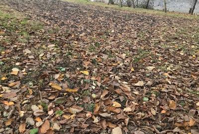 Vand casa la tara in judetul Hunedoara Comuna Pui - 4
