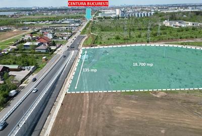 ORAS PANTELIMON-CERNICA 18.700 mp - A0 - DNCB - intravilan - 7