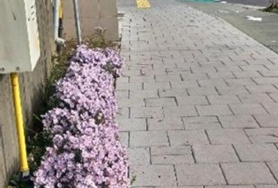 Vand 3413 mp teren intravilan - 13