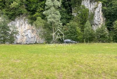 Teren Investiție Turistică Dâmbovicioara Baranga | 4.500 mp - 11