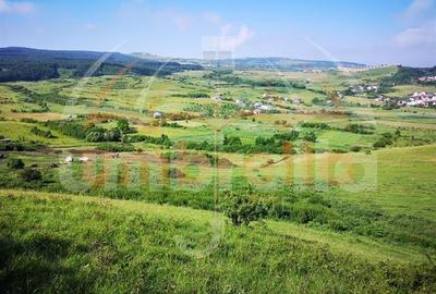 Teren de vanzare in Cluj-Napoca, Strada Soporului 5.753 mp - 1
