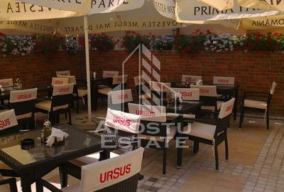 Afacere la cheie, in apropierea Castelului Corvinilor in Hunedoara - 27