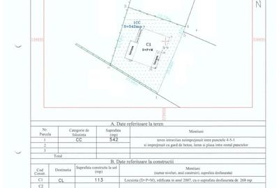 Martha Bibescu,rustic/cochet,4 dormitoare,living-semineu,mobilata,lux,Mogosoaia - 14