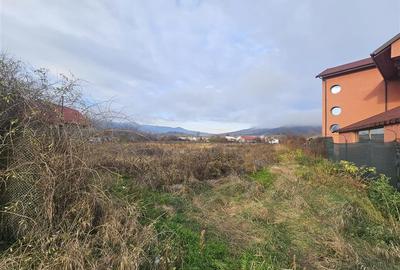 TEREN INTRAVILAN 10.700 mp  DE VANZARE  IN TG.OCNA - 4