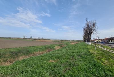 TEREN INTRAVILAN DE 2134 MP CU DRUM PROPRIU ÎN PREJMER – IDEAL PENTRU INVESTIȚIE - 8