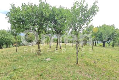 Teren de vânzare | Suprafață 10.040 mp | 2.500 € / ar | Strada Nucului - 4