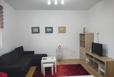 TUNARI-CITY NORD apartament 2 camere mobilat, curte, parcare - 4