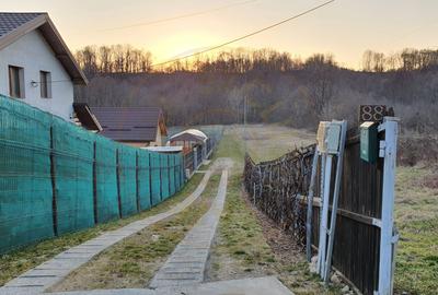 Teren intravilan pentru Casa de Vacanta - Mosoaia -Basangesti - 1