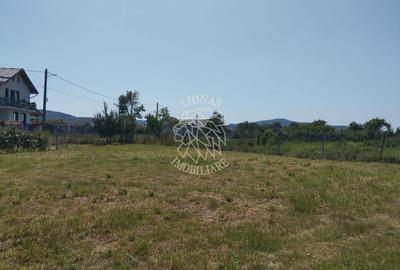 Casa 110 mp 7 incaperi-teren 1949 mp-anexa-Dorolea, 15 km de Bistrita - 2