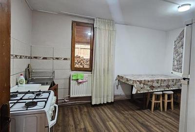 CASA DE VACANTA + TEREN PROPRIETATE IN STATIUNEA MONTANA SLANIC MOLDOVA - 24