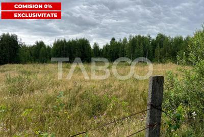 Teren agricol extravilan de 1934 mp, în Avrig