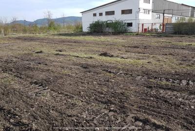 Teren intravilan 6500 mp | Parc Industrial Șieu-Măgheruș | Investiție strategică - 4