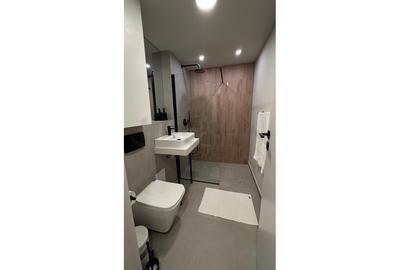 REA1027318 2 camere  la prima inchiriere scara blocului proaspat renovata - 10