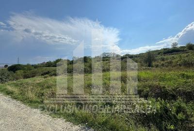 Teren intravilan | 4665 mp | 35 ml deschidere | Cetate - zona Schit - 2