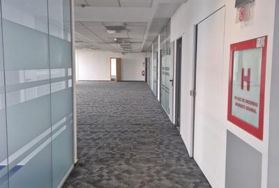 Cascade Offices – Birouri de inchiriat Piata Victoriei, Buzesti - 13