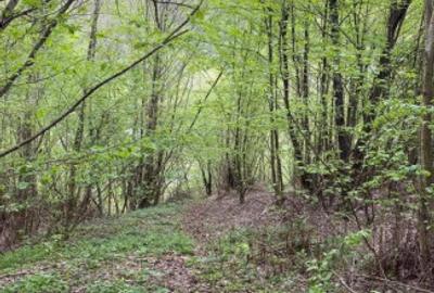 Oportunitate Teren extravilan 4000mp , Zona Baisoara - 4