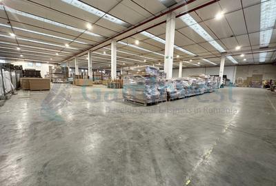 Hala industriala cu pod rulant, Parc Industrial Bors, Bihor - 1