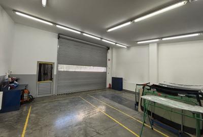 Hală,birourii/depozitare în zona Lugojului - 1