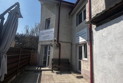 Casa individuala, curte ,utilata, nemobilata, 5 camere, 2 bai, zona Nicolina - 18