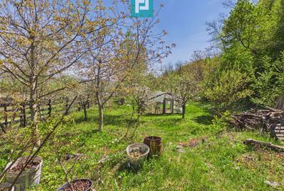 Casă Câmpani, 8000 mp teren, la poalele Apusenilor - 23