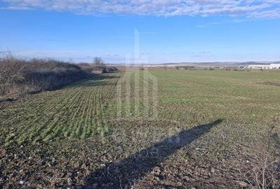 Teren Intravilan de Vânzare – 4300 mp – Cristian, zona Aeroport - 3