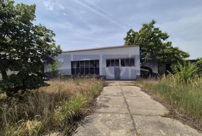 De vanzare teren industrial in Calarasi/Belciugatele - 4