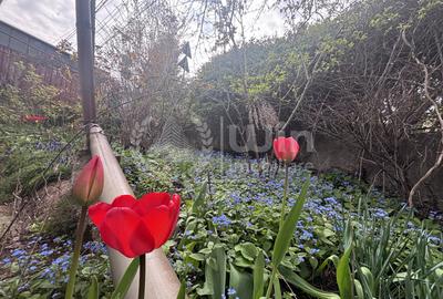 Casă individuală cu 3 camere în Gruia