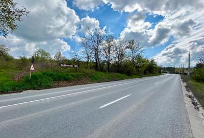 Teren intravilan Bucium Iași – plan doi, 55 ml deschidere, drum privat 7 m - 1