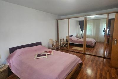 Garsonieră decomandată, mobilată în Turnișor