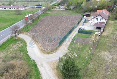 Teren intravilan 3795 mp cu deschidere la E60 de vanzare in Grosi, Bihor - 2