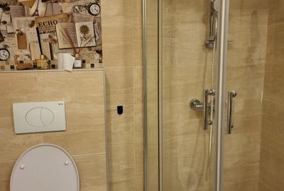 De inchiriat apartament 2 camere - Parcul Carol - 11