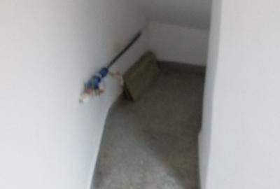 Vilă de  la Podul Grant – 250 mp + 100 mp curte - 47