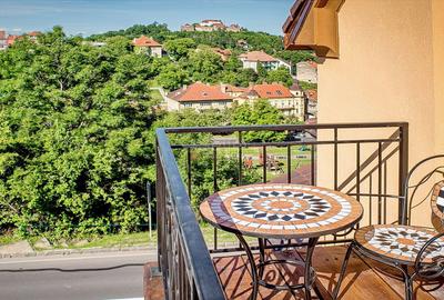 Calea Poienii | Posibilitate Inchiriere Termen Mediu - 3