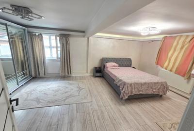Voluntari, Andronache, vila P+1+M renovata, curte amenajata - 16