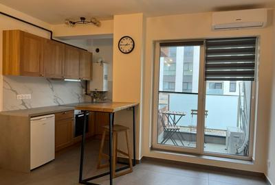 Apartament cu o Camera Petre Dulfu - 3