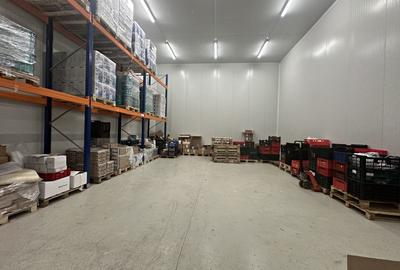 Hale frigorifice de închiriat în zona Est, Centura Oradea, Bihor - 1